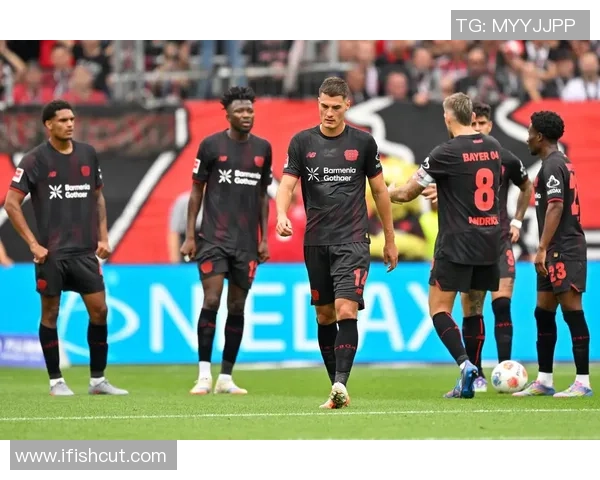 霍芬海姆与勒沃库森激战成和比分背后隐藏的精彩故事