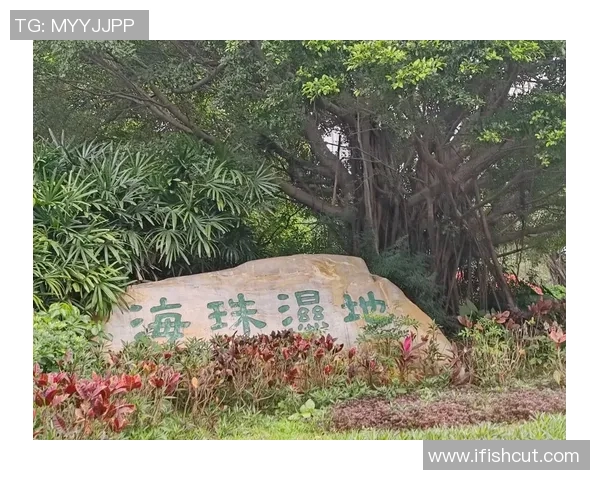 以运动热心迎候十五运会开幕，800名市民步行广州海珠湿地